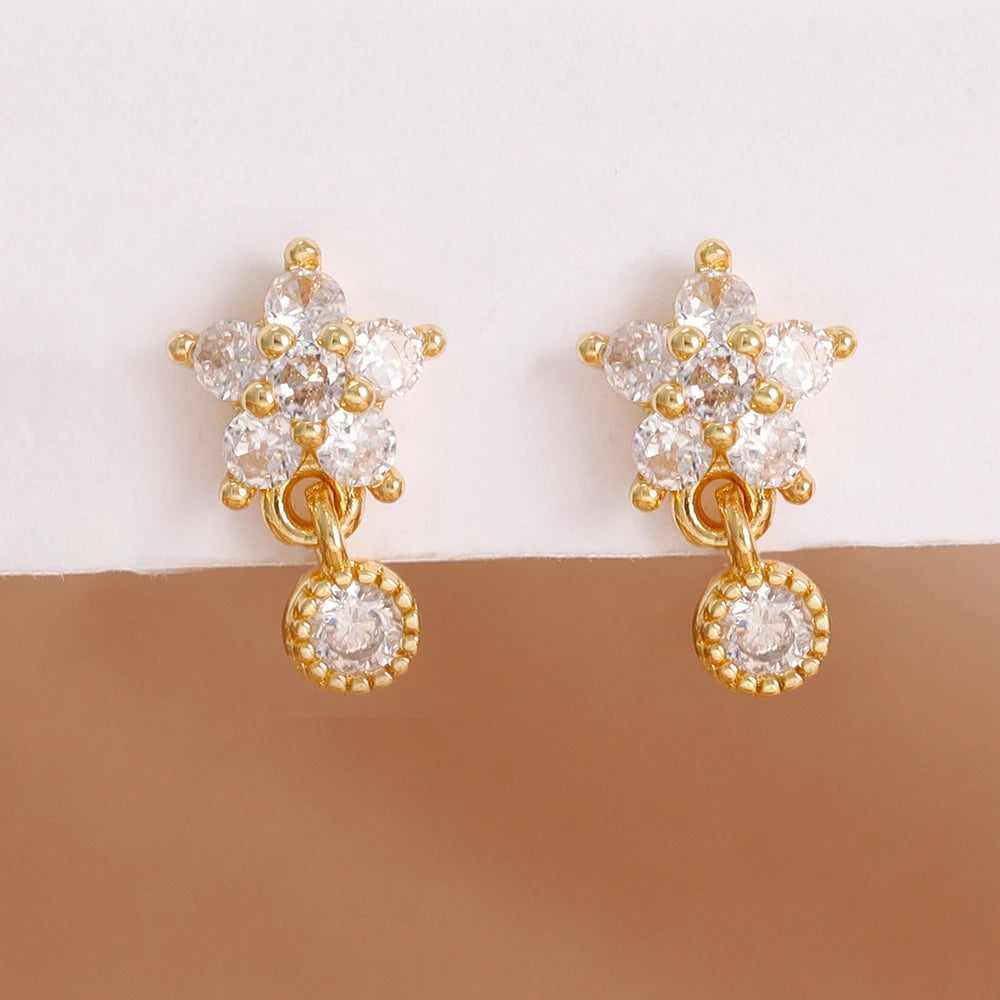 Luxury Stainless Steel Star Dangle Earrings For Women Sparkling Zircons Geometric Ear Piercing Earring Fashion Jewelry aretes